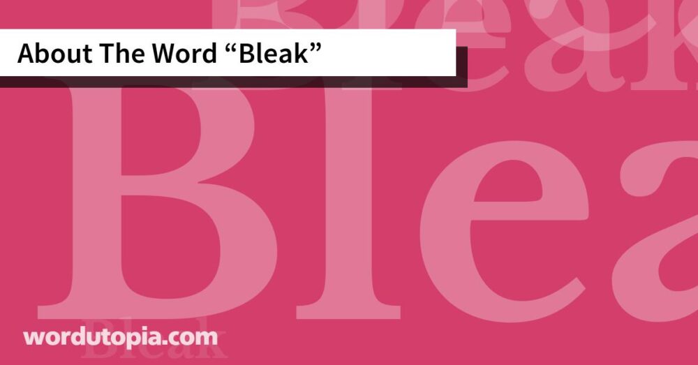 About The Word Bleak