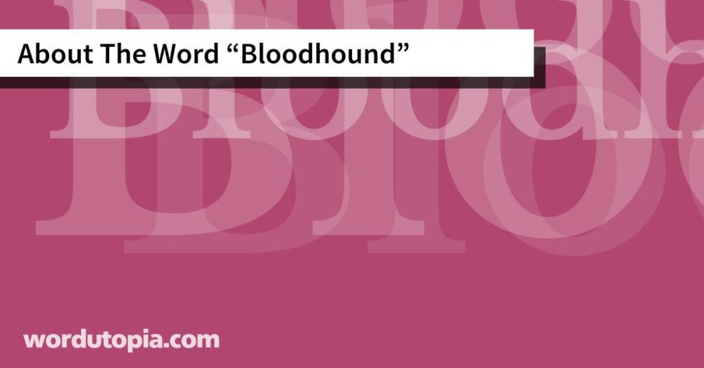 About The Word Bloodhound