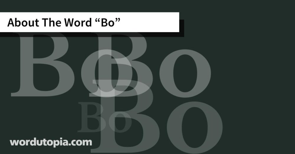 About The Word Bo