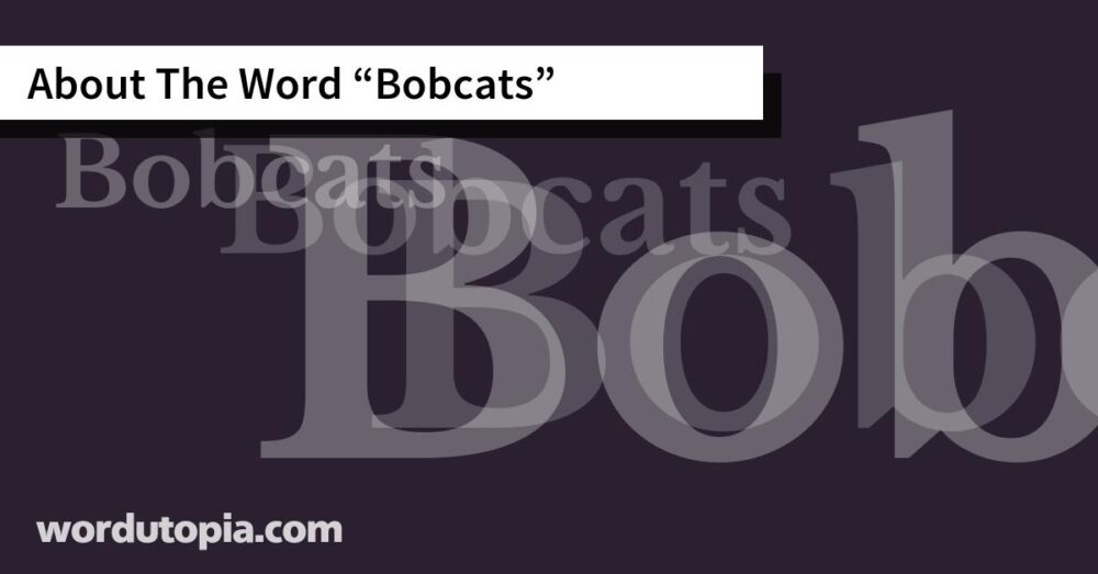 About The Word Bobcats