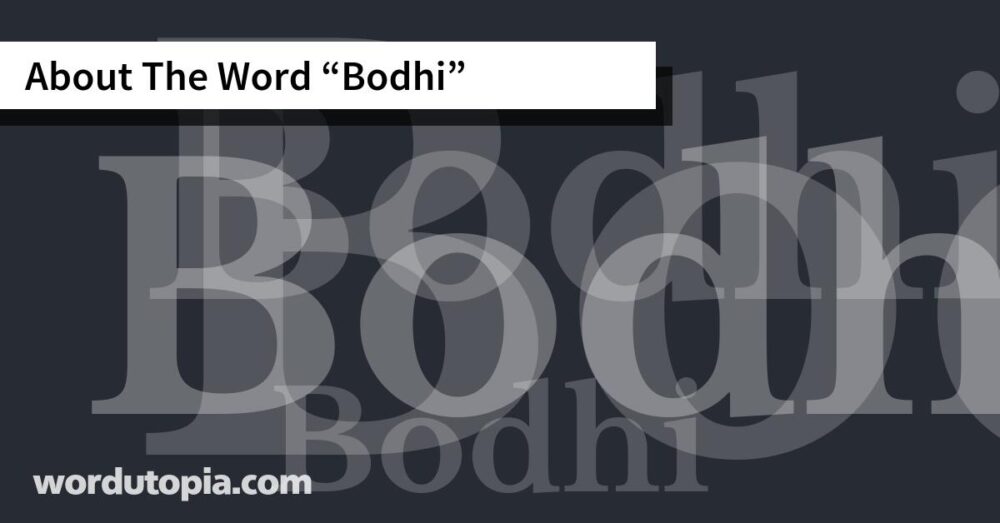 About The Word Bodhi
