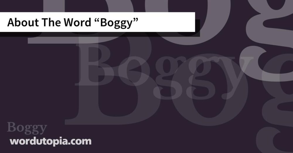 About The Word Boggy