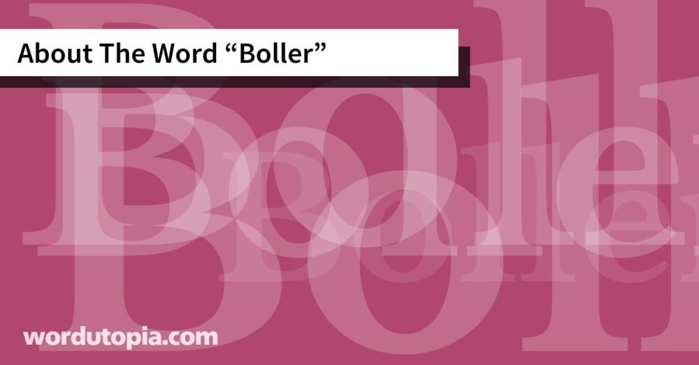 About The Word Boller