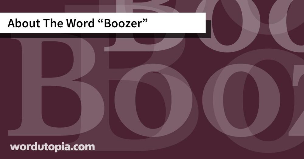 About The Word Boozer