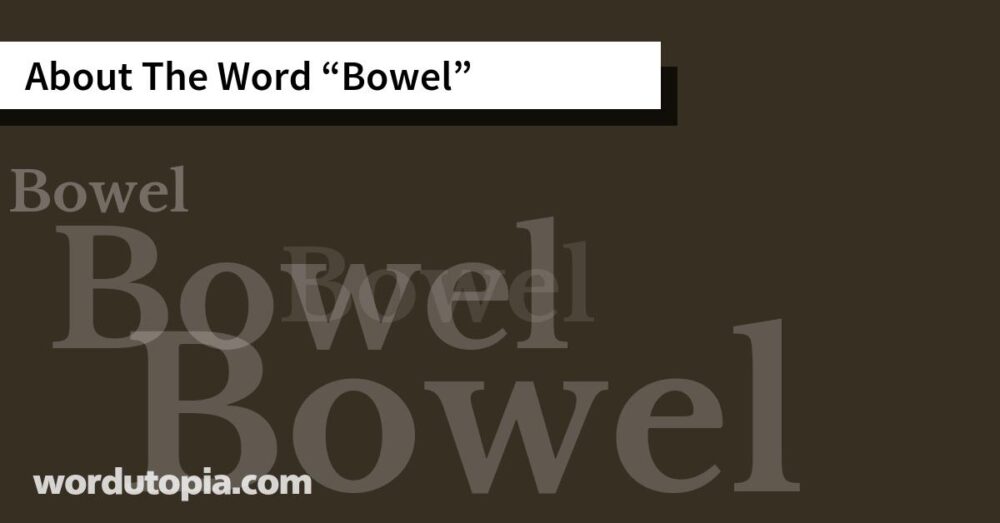 About The Word Bowel