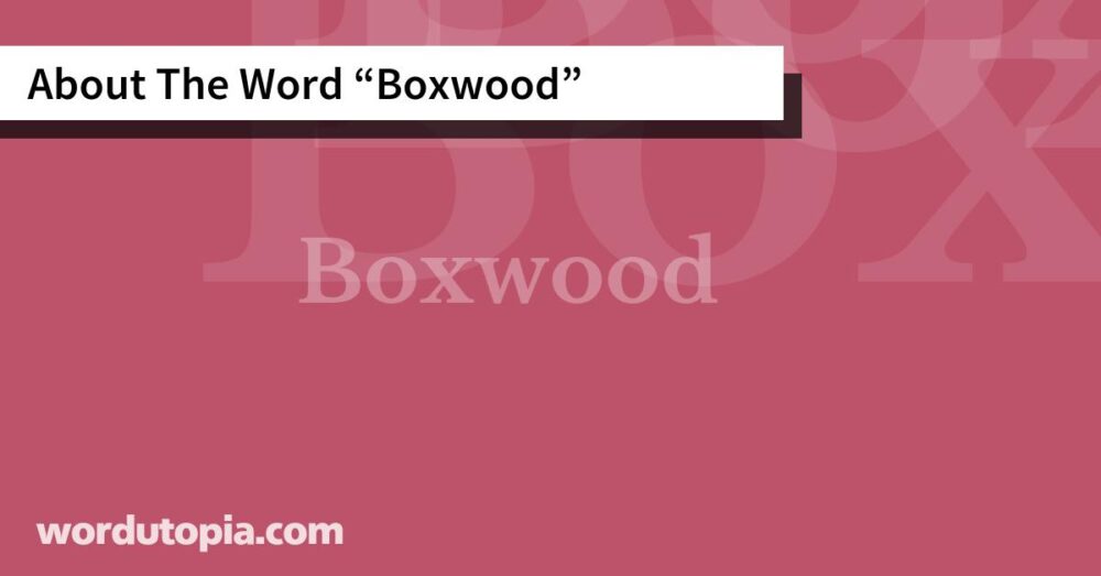 About The Word Boxwood