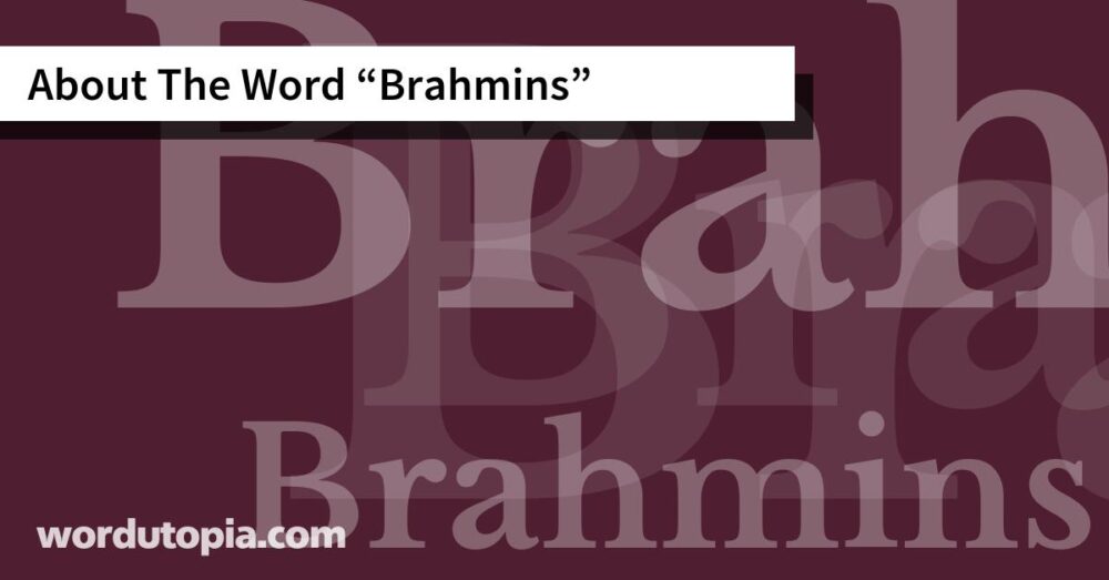 About The Word Brahmins