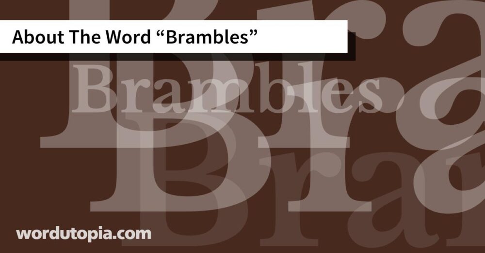 About The Word Brambles