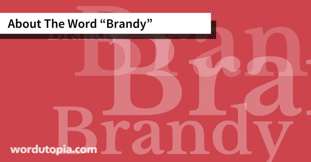 About The Word Brandy