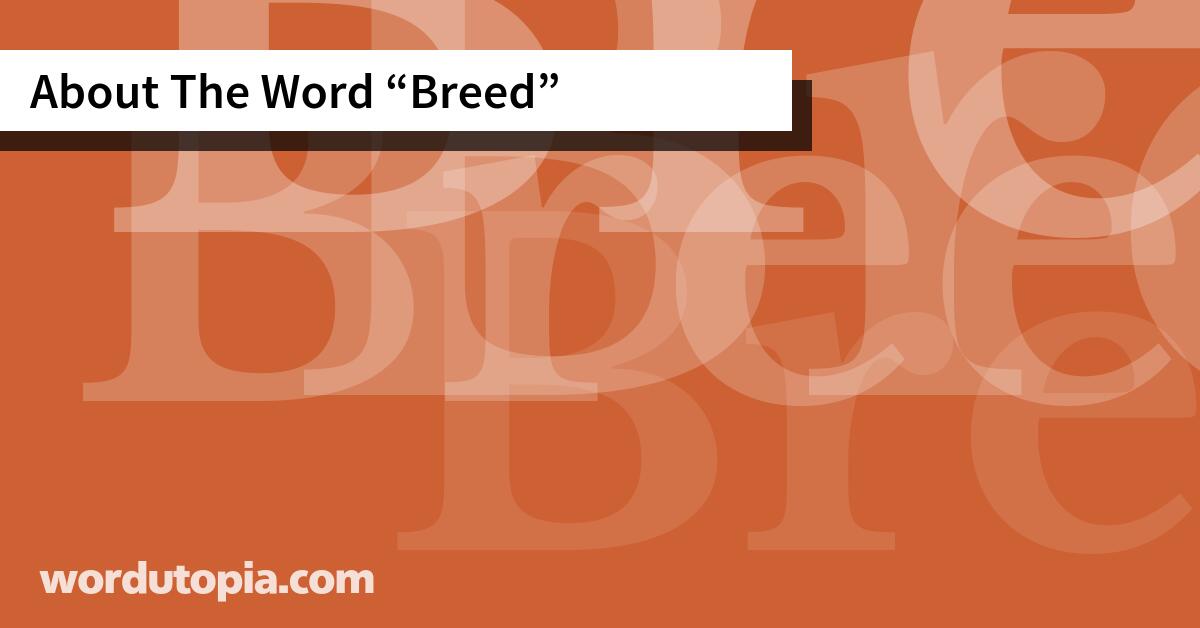 About The Word Breed