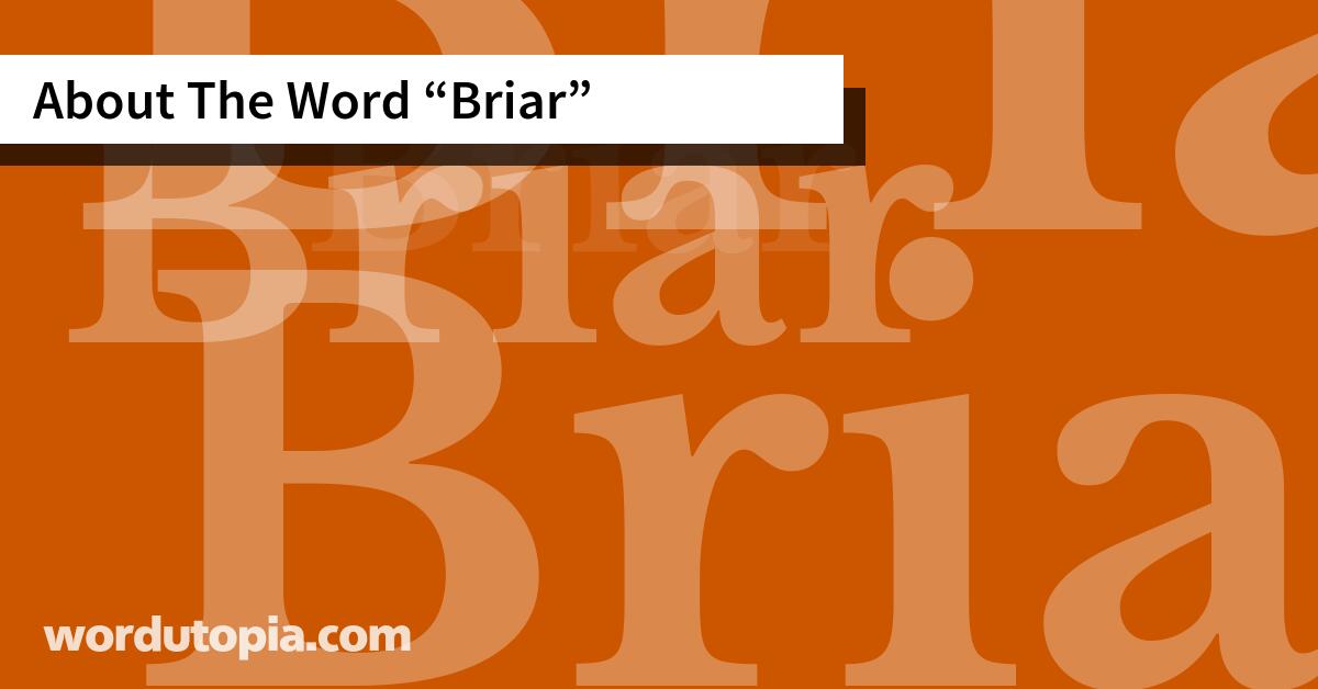 About The Word Briar
