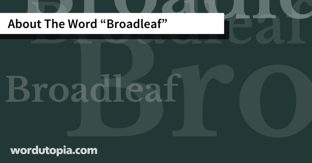 About The Word Broadleaf