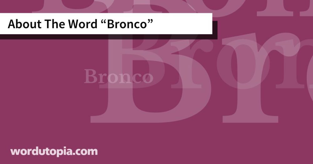 About The Word Bronco