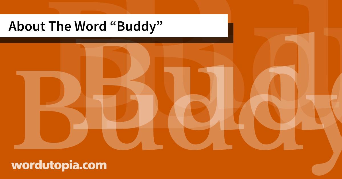 About The Word Buddy