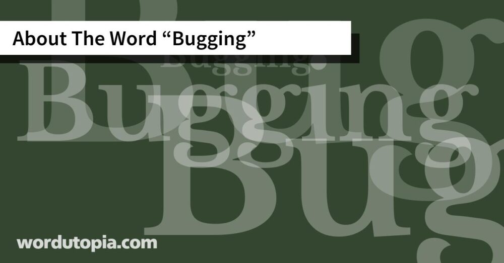 About The Word Bugging