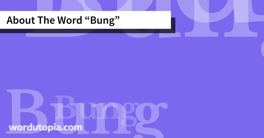 About The Word Bung
