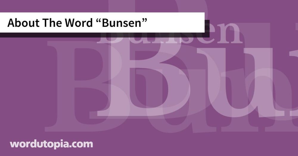 About The Word Bunsen