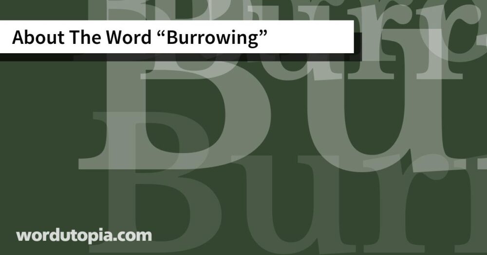 About The Word Burrowing
