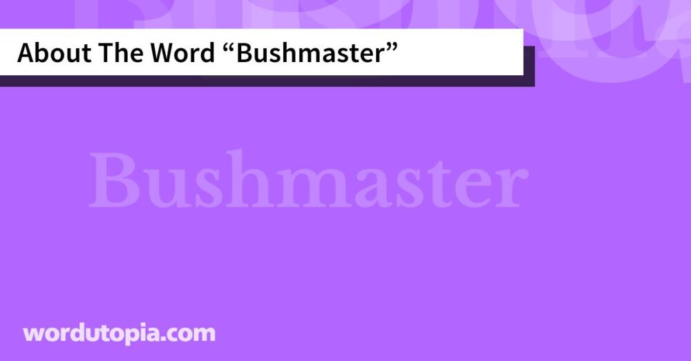 About The Word Bushmaster