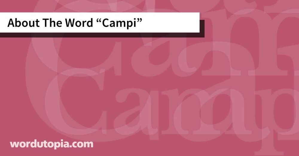 About The Word Campi