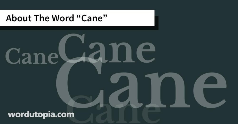 About The Word Cane