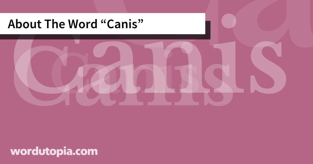 About The Word Canis