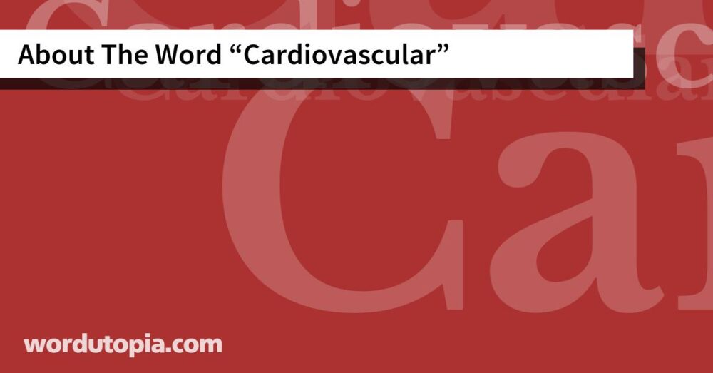 About The Word Cardiovascular