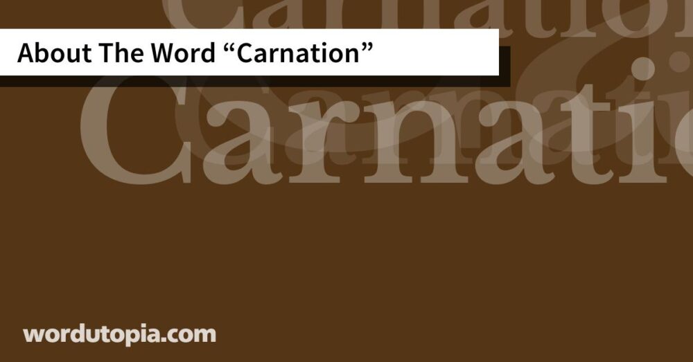About The Word Carnation