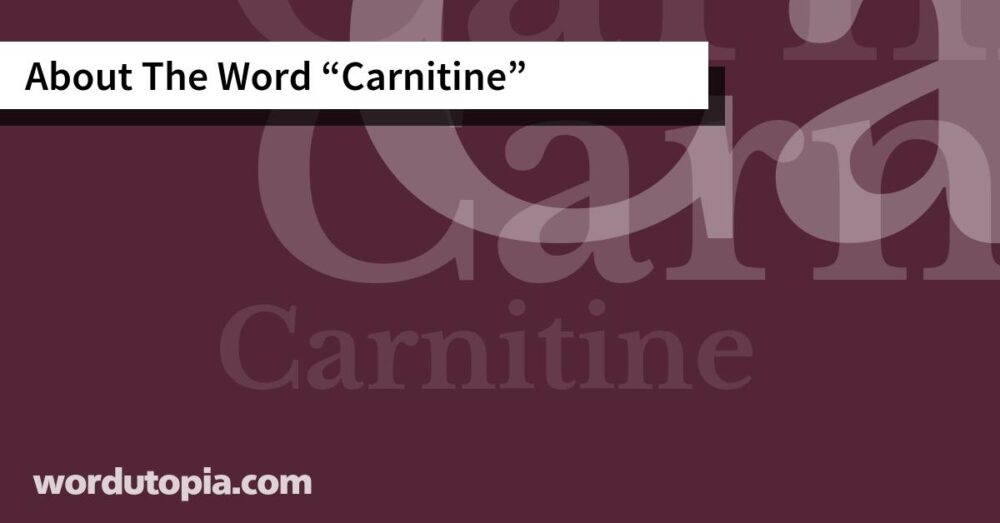 About The Word Carnitine