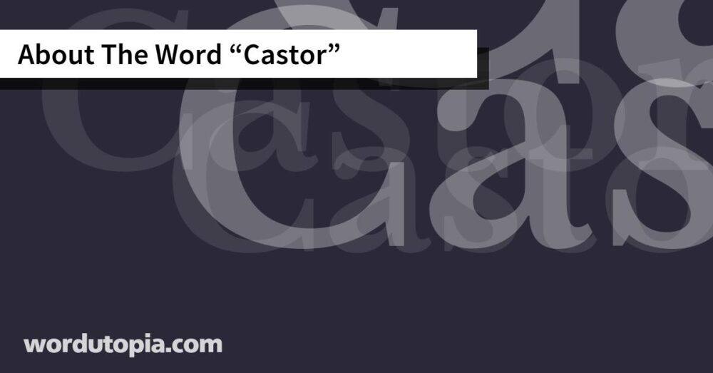 About The Word Castor
