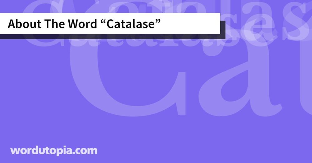 About The Word Catalase