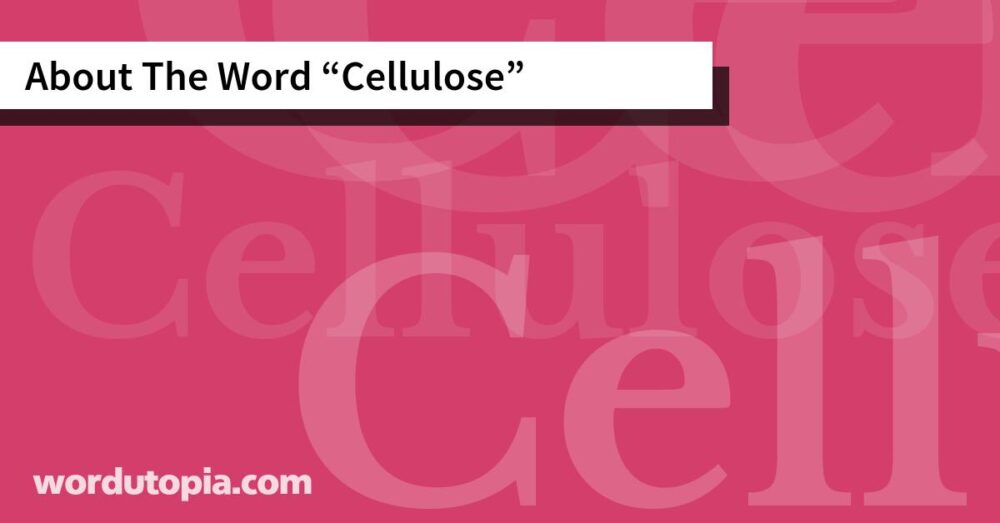 About The Word Cellulose