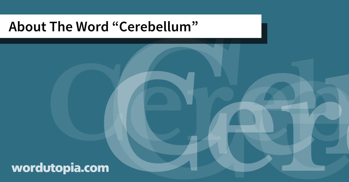 About The Word Cerebellum