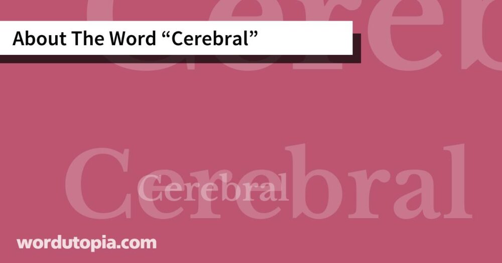 About The Word Cerebral