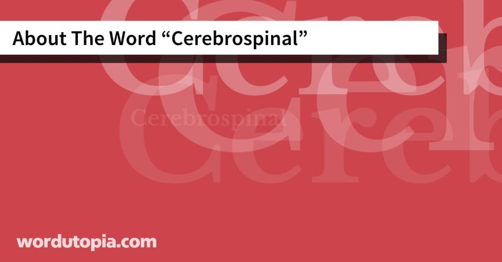 About The Word Cerebrospinal