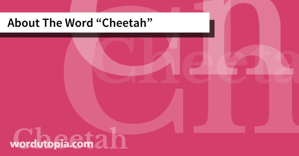 About The Word Cheetah