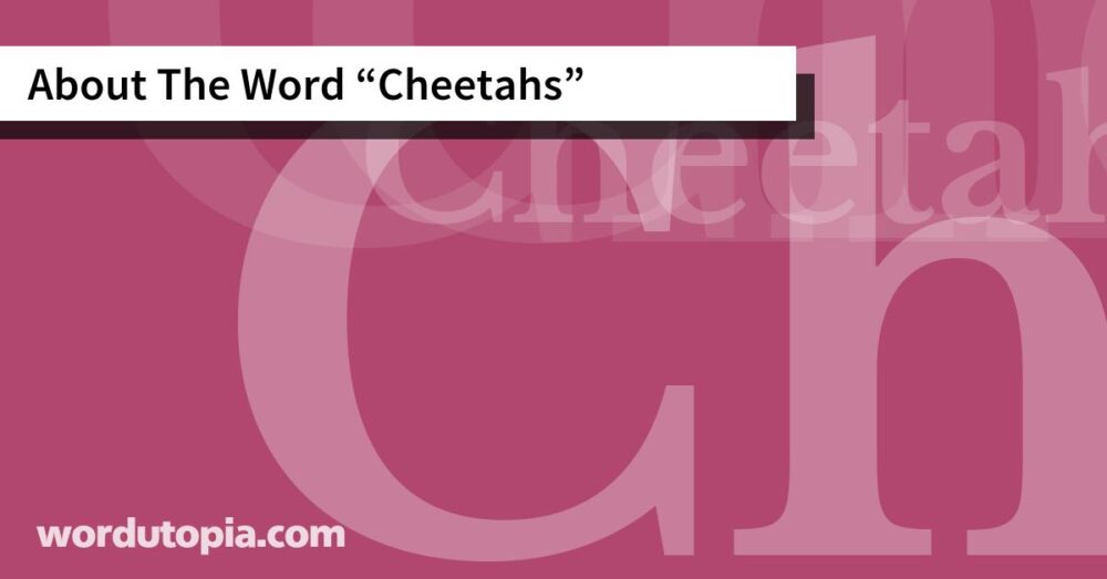 About The Word Cheetahs