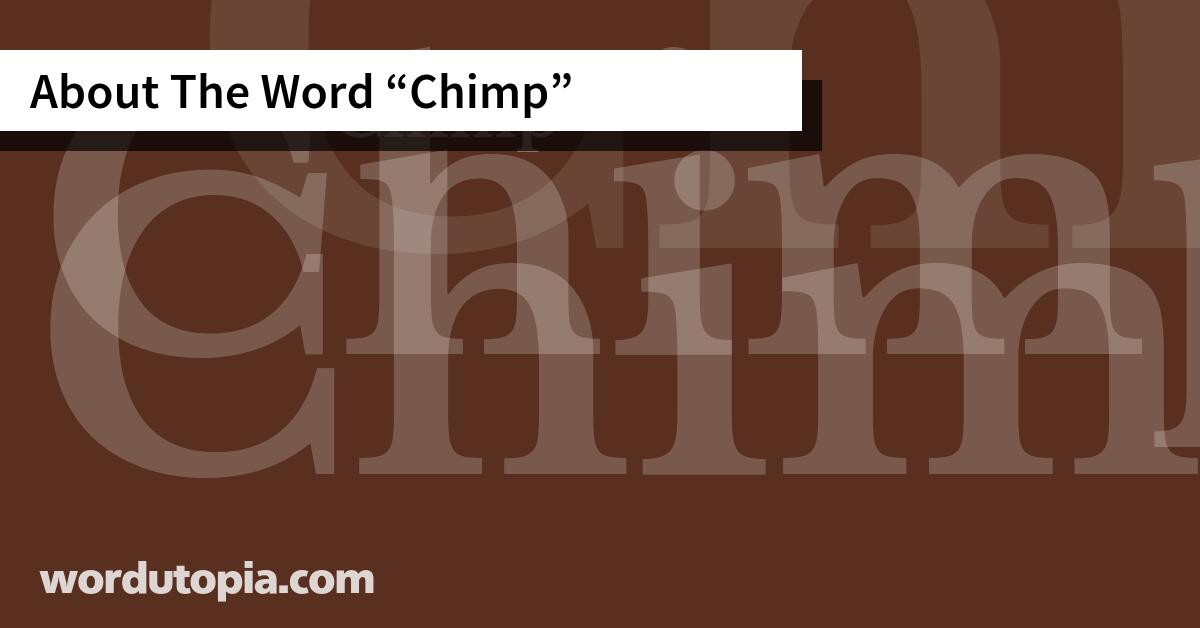 About The Word Chimp