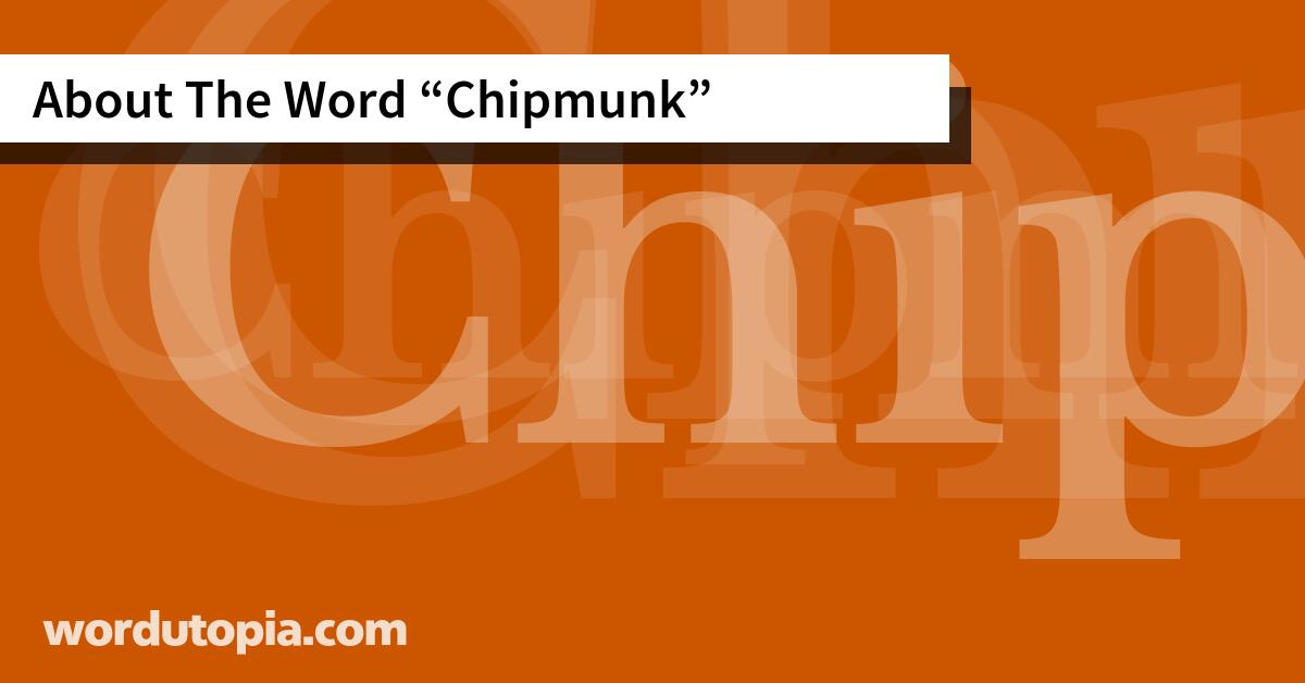 About The Word Chipmunk
