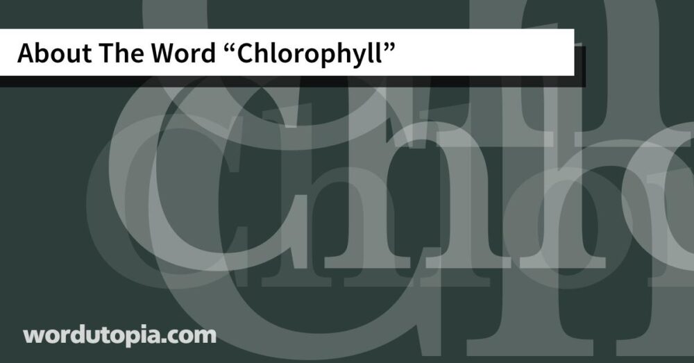 About The Word Chlorophyll