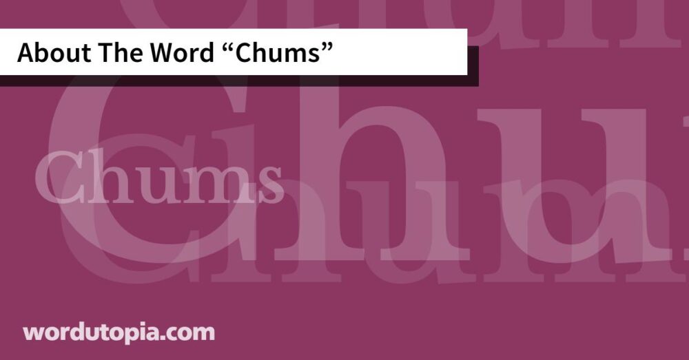 About The Word Chums