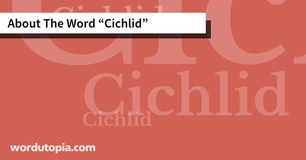About The Word Cichlid