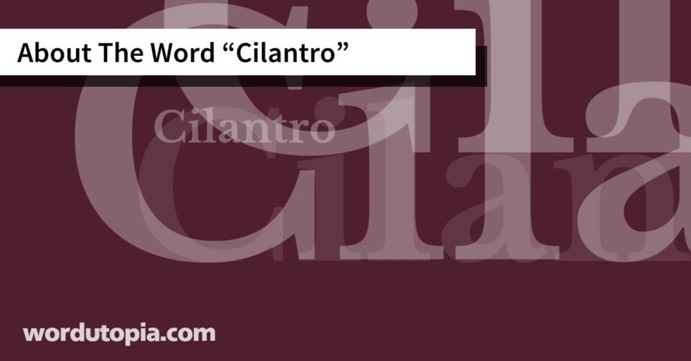 About The Word Cilantro