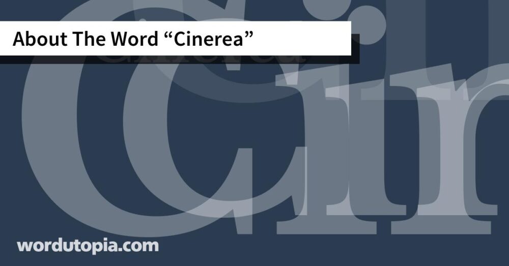 About The Word Cinerea