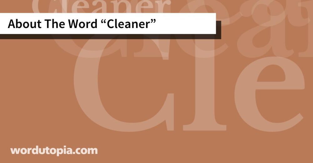 About The Word Cleaner