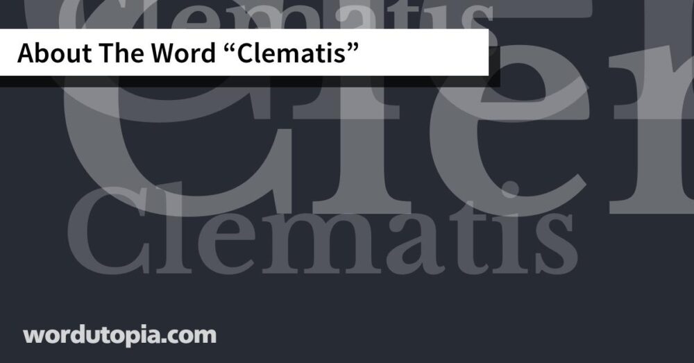 About The Word Clematis