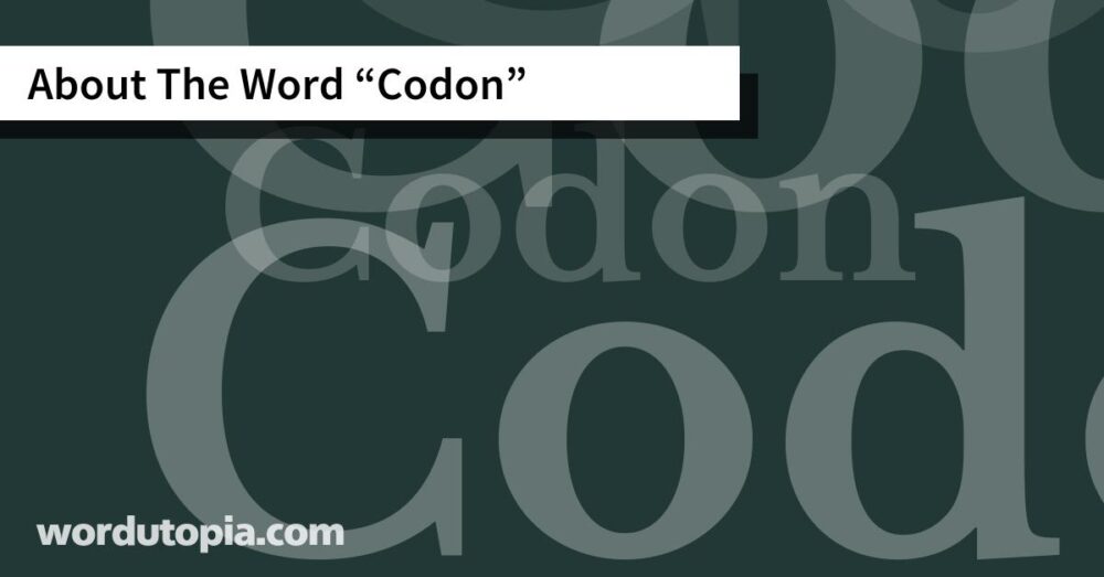 About The Word Codon