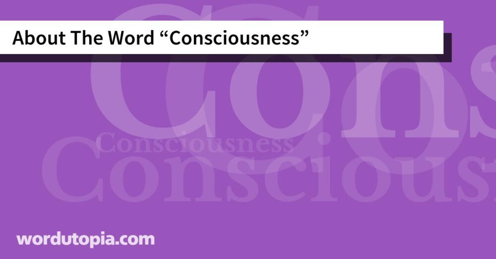 About The Word Consciousness