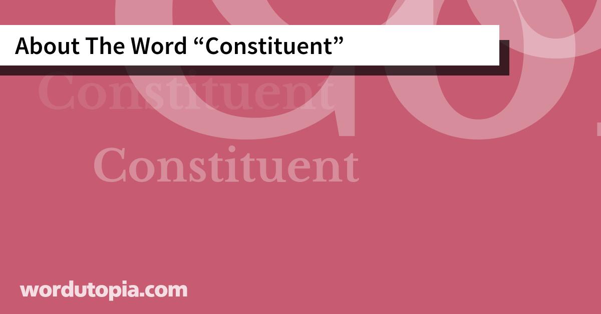 About The Word Constituent