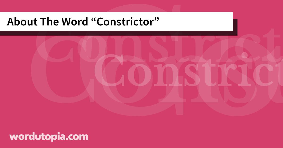 About The Word Constrictor